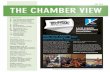 The Chamber View - July, 2015