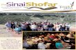 Temple Sinai Shofar-July 2015 Edition