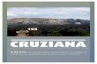 E-Magazine Cruziana Report 105 en