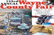 Wayne County Fair 2015