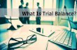 What is Trial Balance?