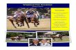 Wrightway Polo Summer Newsletter Issue 5