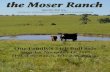 The Moser Ranch 24th Annual Bull Sale