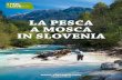 La pesca a mosca in Slovenia