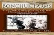 Bonchuk Farms Female Production Sale