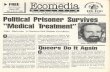 Toronto Ecomedia, No. 87, November 6 - November 19, 1990