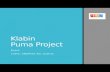 Klabin Puma Project - Brazil