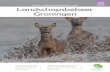 Landschapsbeheer Groningen seizoensmagazine #4 december 2015