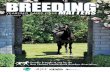 Breeding Matters - Yearling Sales Issue 2016