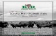 Krebs Ranch Bull Sale Catalog 2016