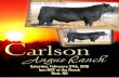 Carlson Angus Ranch 2016 Production Sale Catalog