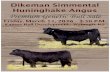 Dikeman Simmental and Huninghake Angus 2016 Premium Genetic Bull Sale