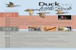 Duck into Little Rock