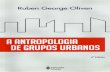 A antropologia de grupos urbanos ruben george oliven