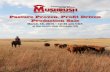 Mushrush Red Angus 2016 Production Sale