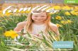 Families Cheshire Issue 40 March-April 2016