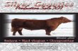 Silver Spur Salers Silver Genetics Production Sale XII