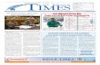 2016-03-05 - The Brick Times