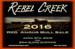 Rebel Creek Red Angus Bull Sale 2016