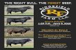 Ridgefield Farm L.L.C 2016 Annual Bull Sale