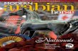Modern Arabian Horse: Issue 6, 2015