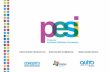 PESI (Programa Empresas Innovadoras Solidarias)