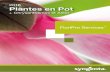 FloriPro Services Pot Plants 2016 (FR)