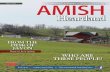Amish Heartland, May 2016