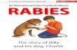 Rabies coloring book 2010 english