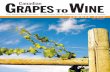 Canadian Grapes To Wine Magazine - Summer 2016