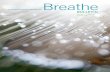 PFF Breathe Bulletin Spring 2016