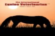 The International Equine Veterinarian Volume 6, Issue 3