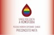 Sangue Bom Contra a Homofobia  - FANZINE