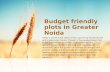 Budget friendly plots in Greater Noida