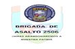 BRIGADA DE ASALTO 2506