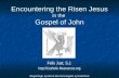 Encountering the Risen Jesus in the Gospel of John