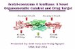 Acetyl CoA Synthase: Nature's Monsanto Acetic Acid Catalyst