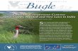 Changing conservation climates: Sarus Cranes, Rainfall, and New ...