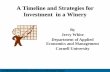 A Timeline and Strategies for Investment in a Winery
