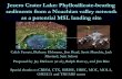 Jezero Crater Lake: Phyllosilicate-bearing sediments from a ...