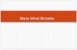 Mars wind streaks- ASU
