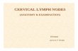 CERVICAL LYMPH NODES - The Lung Center