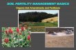 Organic Soil Amendments and Fertilizers
