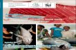 Action Plan Indonesian Tuna Fisheries