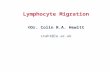 Lymphocyte migration PPT