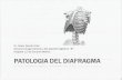 Digestivo - 07 Patologia Quirurgica del Diafragma ppt