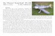 The “Phoenix” FockeWulf FW-190 Part 1