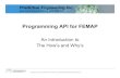 Programming API for FEMAP