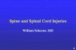 Spine and Spinal Cord Injuries