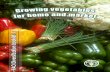 Growing vegetables for home and market